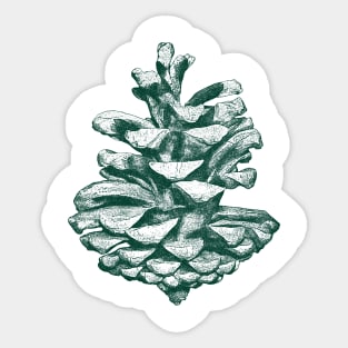 Conifer cone Sticker